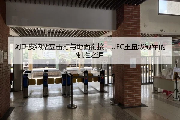 阿斯皮纳站立击打与地面衔接：UFC重量级冠军的制胜之道