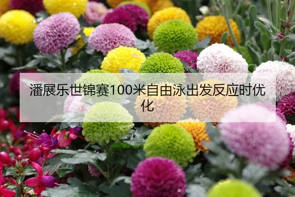 潘展乐世锦赛100米自由泳出发反应时优化