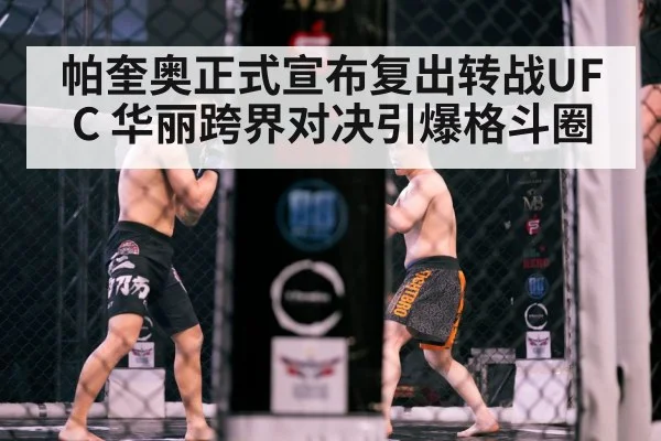 MMA cage fight